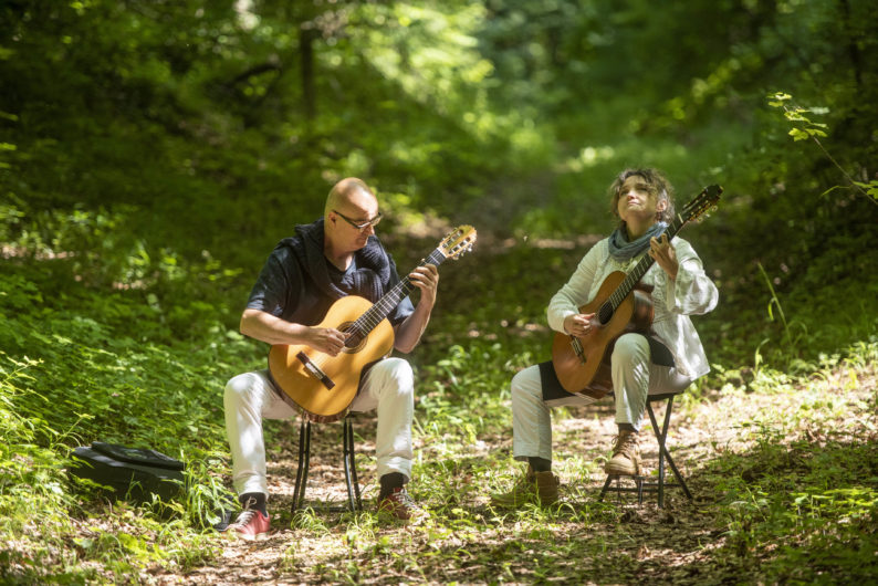 Bains de forêt musicaux toute l’année